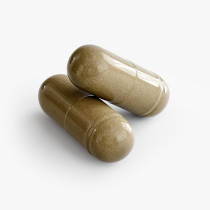 Resa Organics | Ginkgo Biloba + Ginseng Capsules